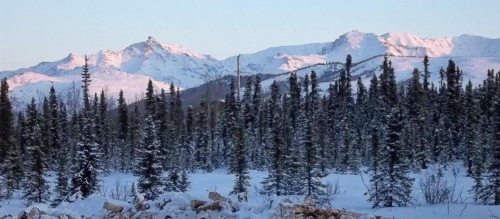 Denali Touch Of Wilderness B&B Хийли Екстериор снимка